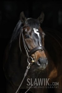Obrazek